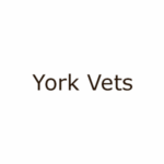 York Vets